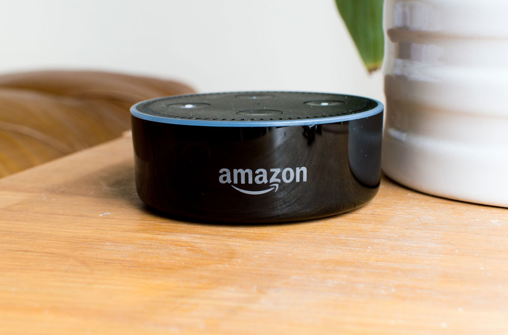 Alexa Voice-controlled System