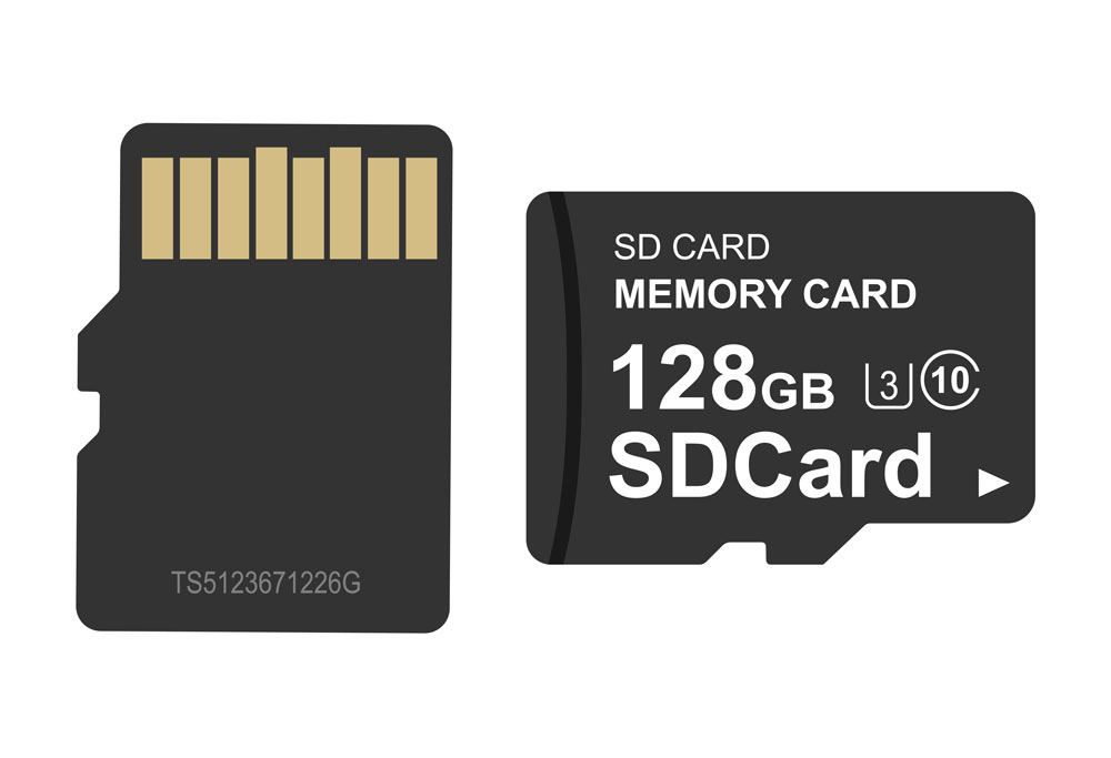 An SD Card