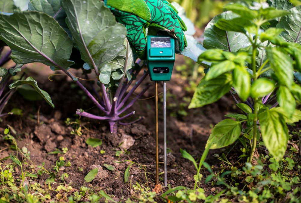 measuring soil humidity